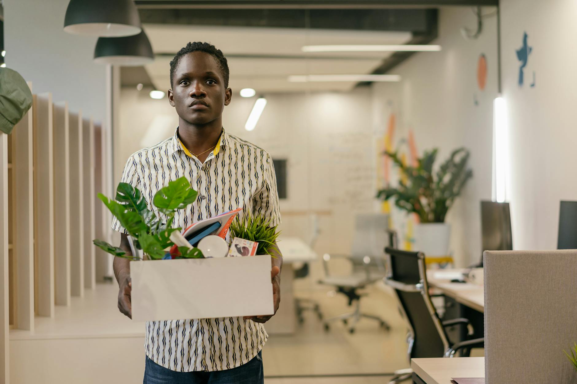 a man carrying white box with green plant and things in it